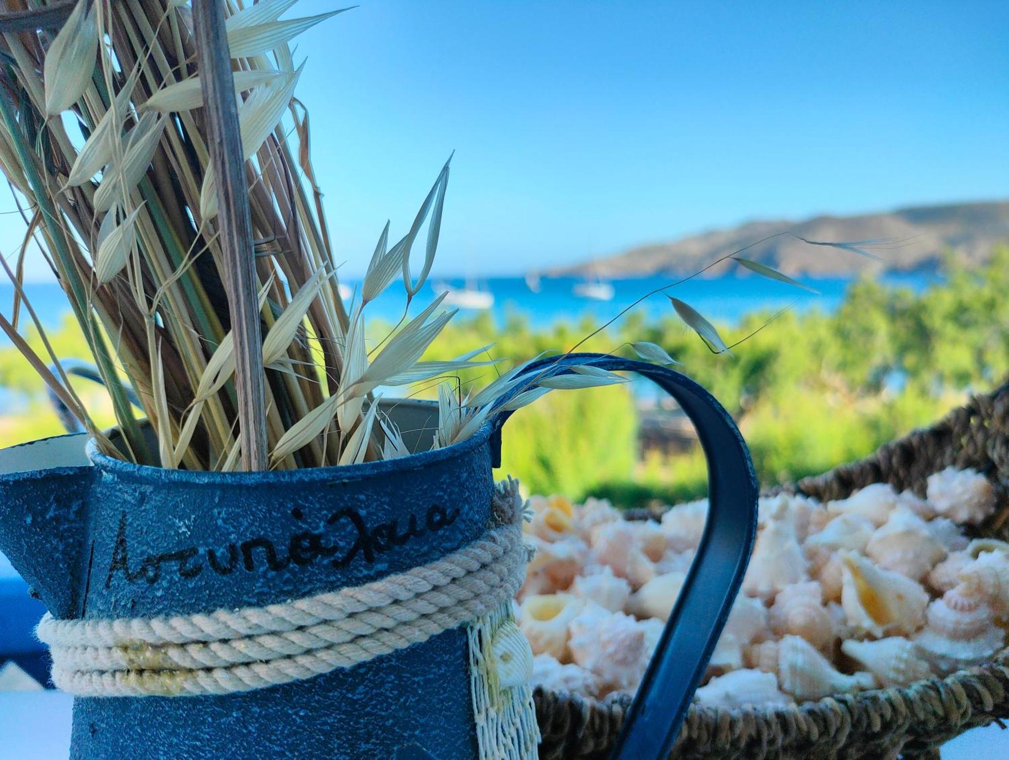 Apartment Maganas Livadi (Astypalaia)